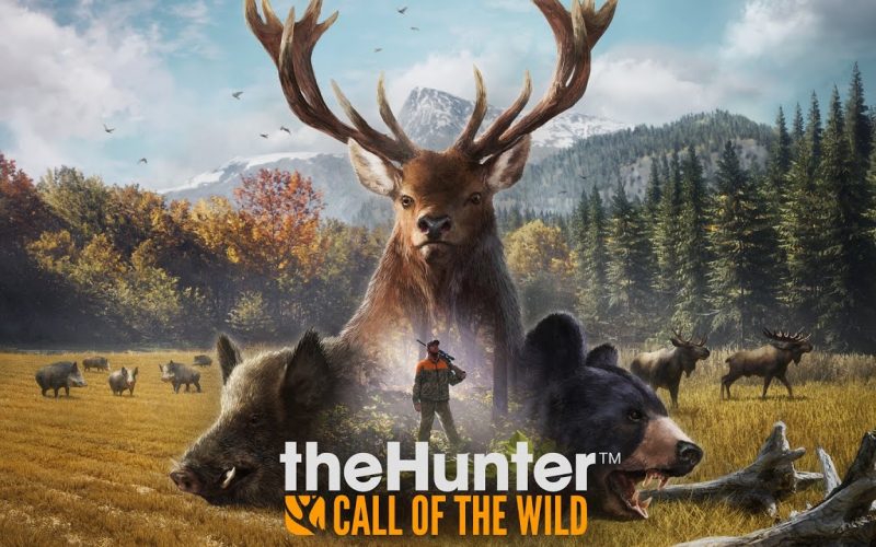 Copertina 'The Hunter'