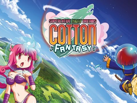 Cotton Fantasy