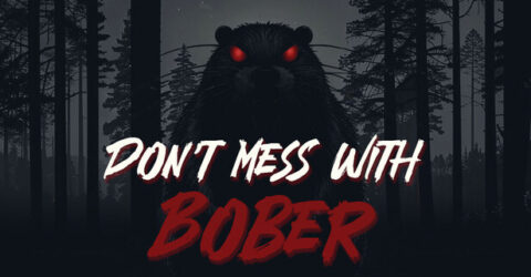 Don't Mess With Bober