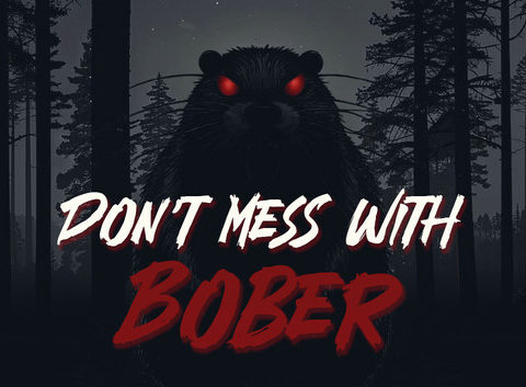Don't Mess With Bober