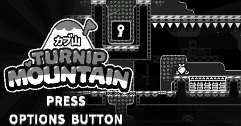 Turnip Mountain