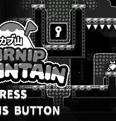 Turnip Mountain